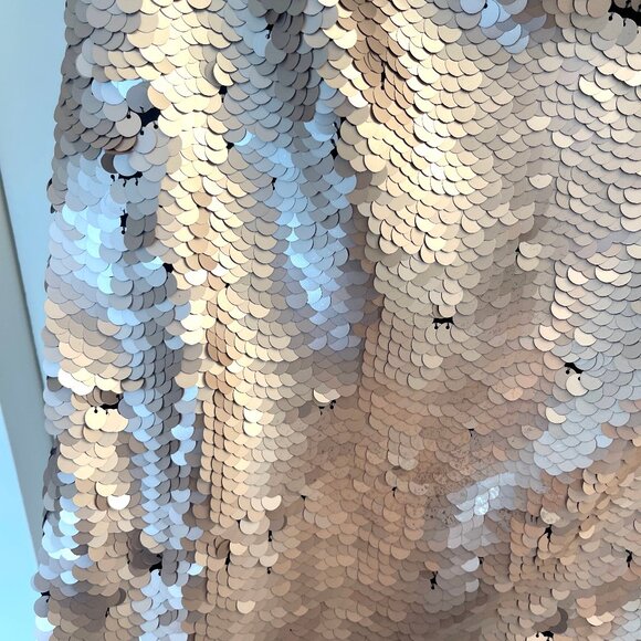 Zara Sequin Mini Skirt in Silver and Brown - Picture 2 of 3
